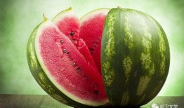 免费吃瓜网官网,揭秘娱乐圈幕后故事，带你畅游娱乐资讯海洋